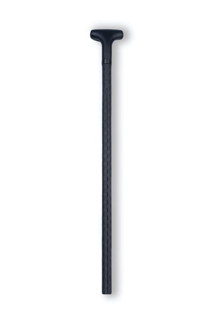 PRO 10.6
